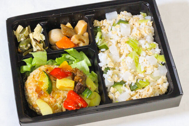 【野菜ご飯ベジロハ】豆腐ハンバーグ～地中海野菜とオニオンソース～幕ノ内