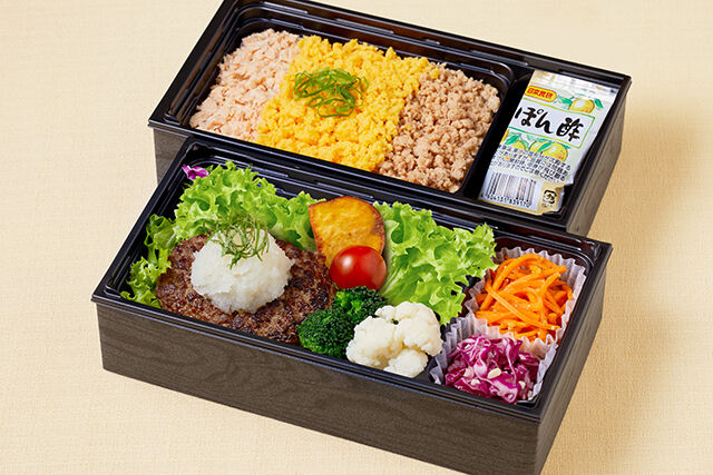 とろけるおろしはんばーぐ＆三色そぼろ御膳