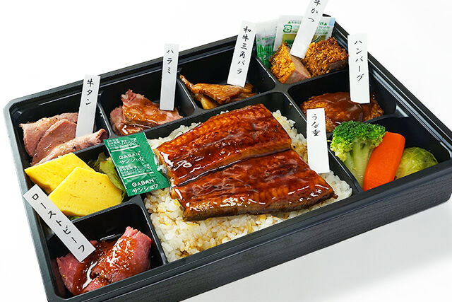 極・幕の内御膳